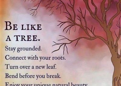Be Like a Tree!