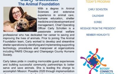 The Wheel for April 30, 2020