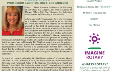 The Wheel for May 4, 2023